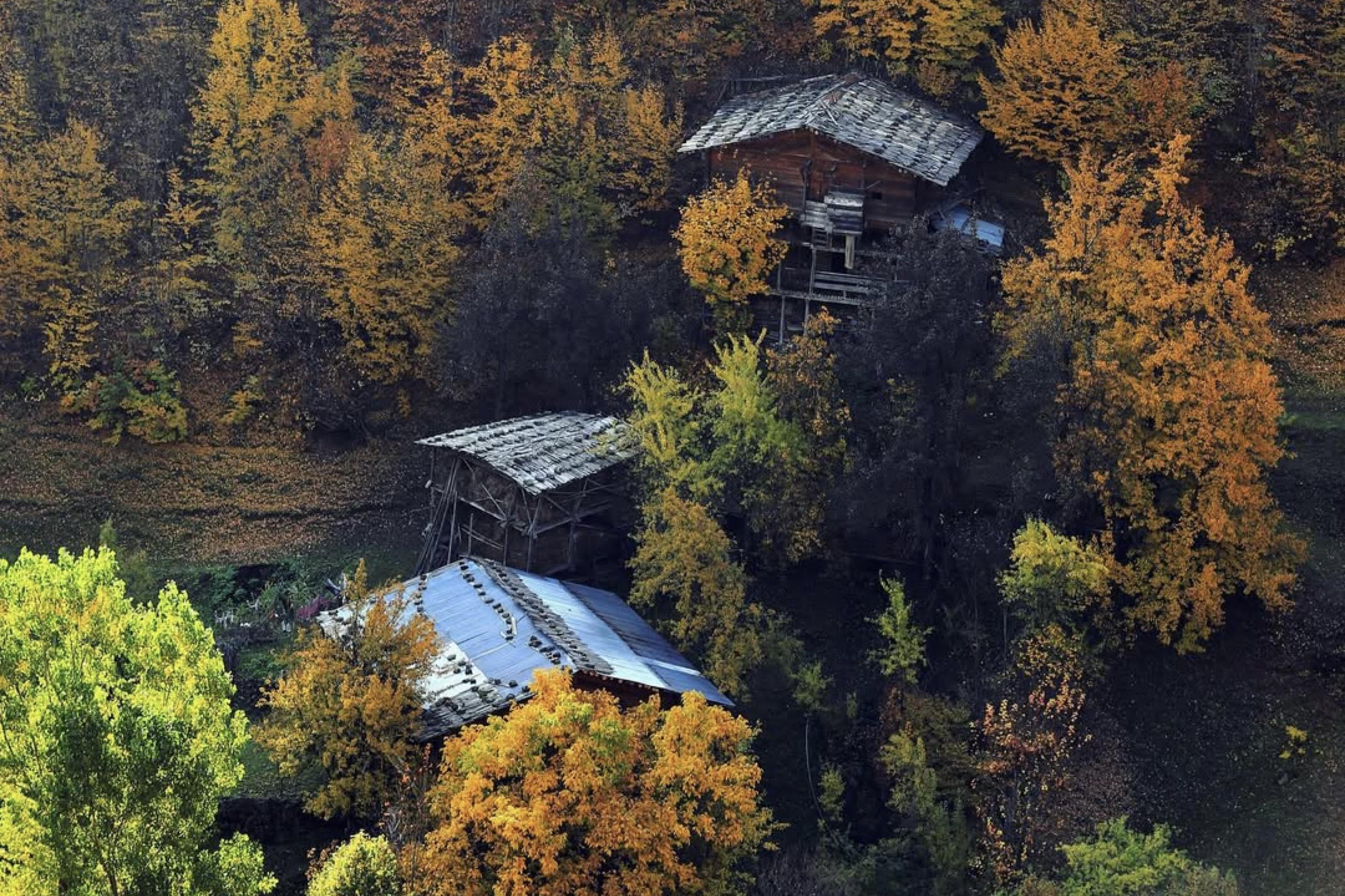 Artvin Yaylalarında Sonbahar