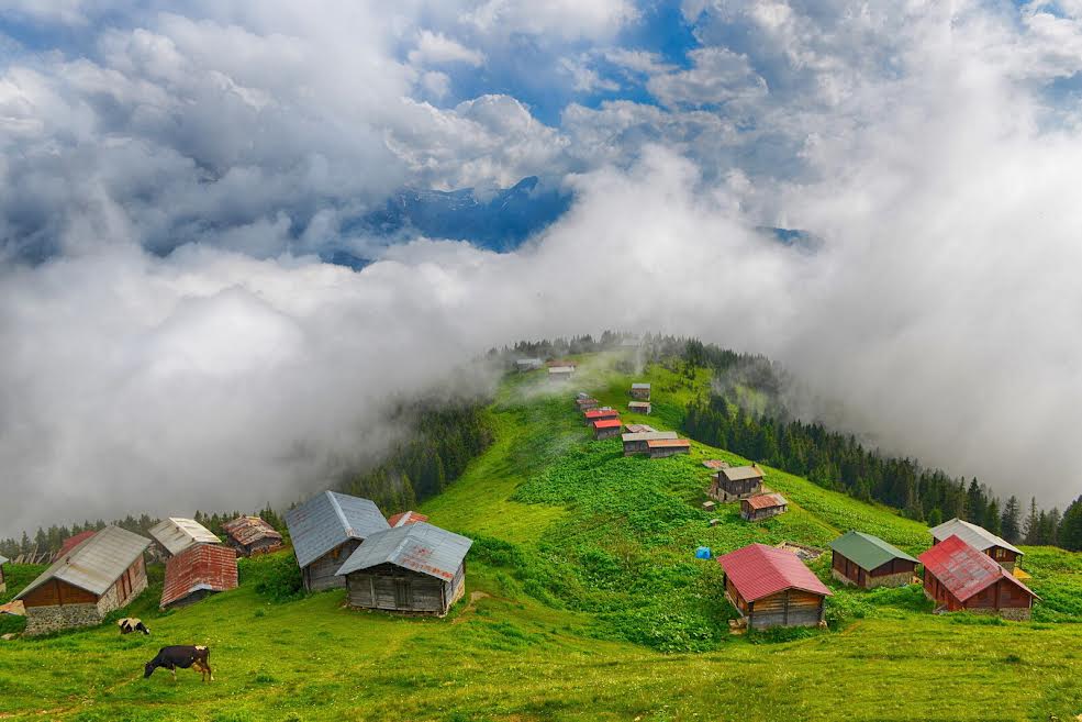 Pokut – Huser Turu
